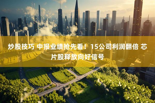 炒股技巧 中报业绩抢先看！15公司利润翻倍 芯片股释放向好信号