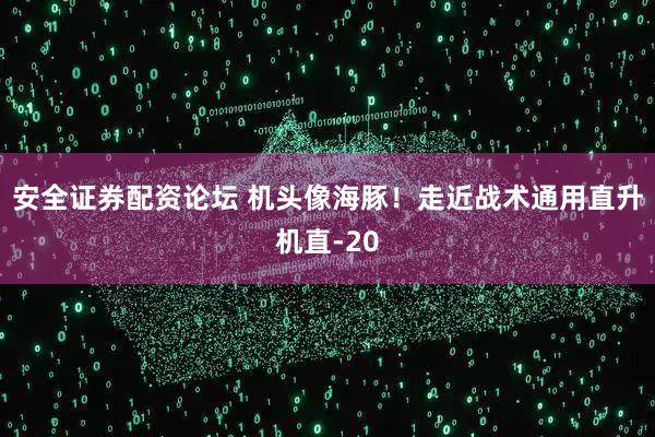 安全证券配资论坛 机头像海豚！走近战术通用直升机直-20