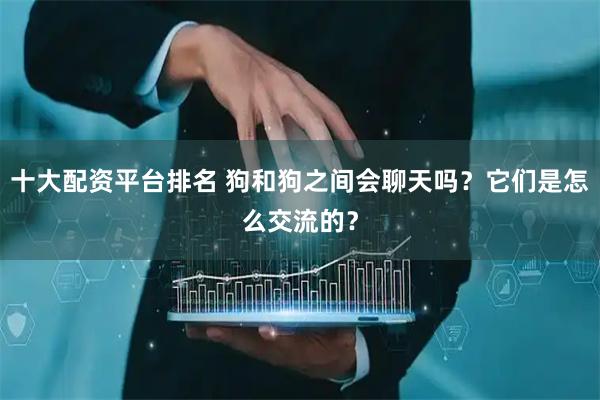 十大配资平台排名 狗和狗之间会聊天吗？它们是怎么交流的？