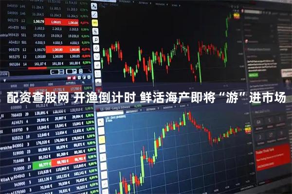 配资查股网 开渔倒计时 鲜活海产即将“游”进市场