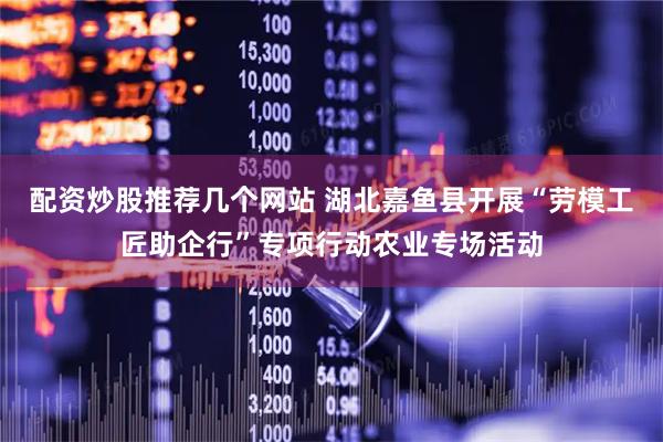 配资炒股推荐几个网站 湖北嘉鱼县开展“劳模工匠助企行”专项行动农业专场活动